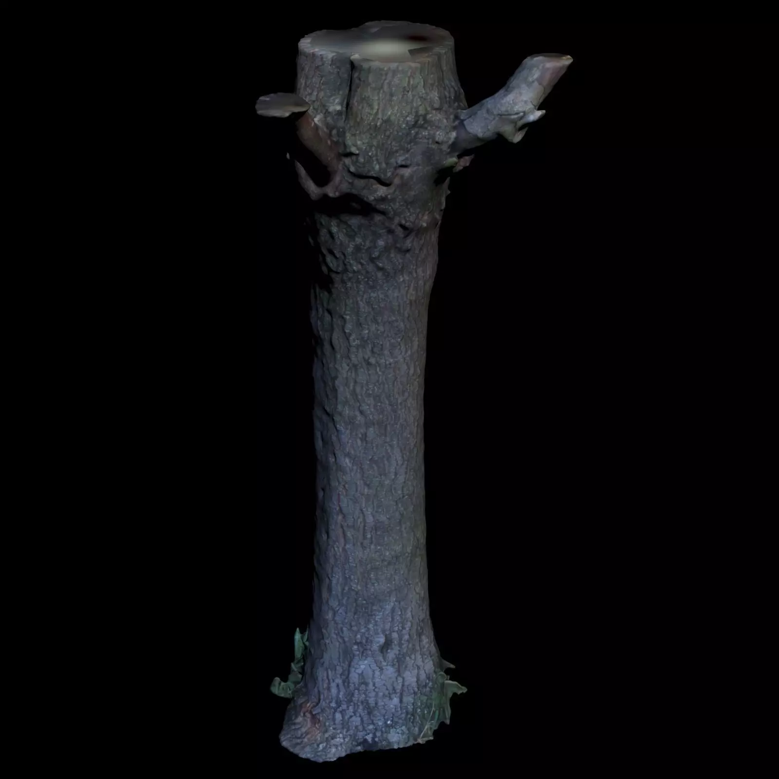 Tree G trunk 3D model_0