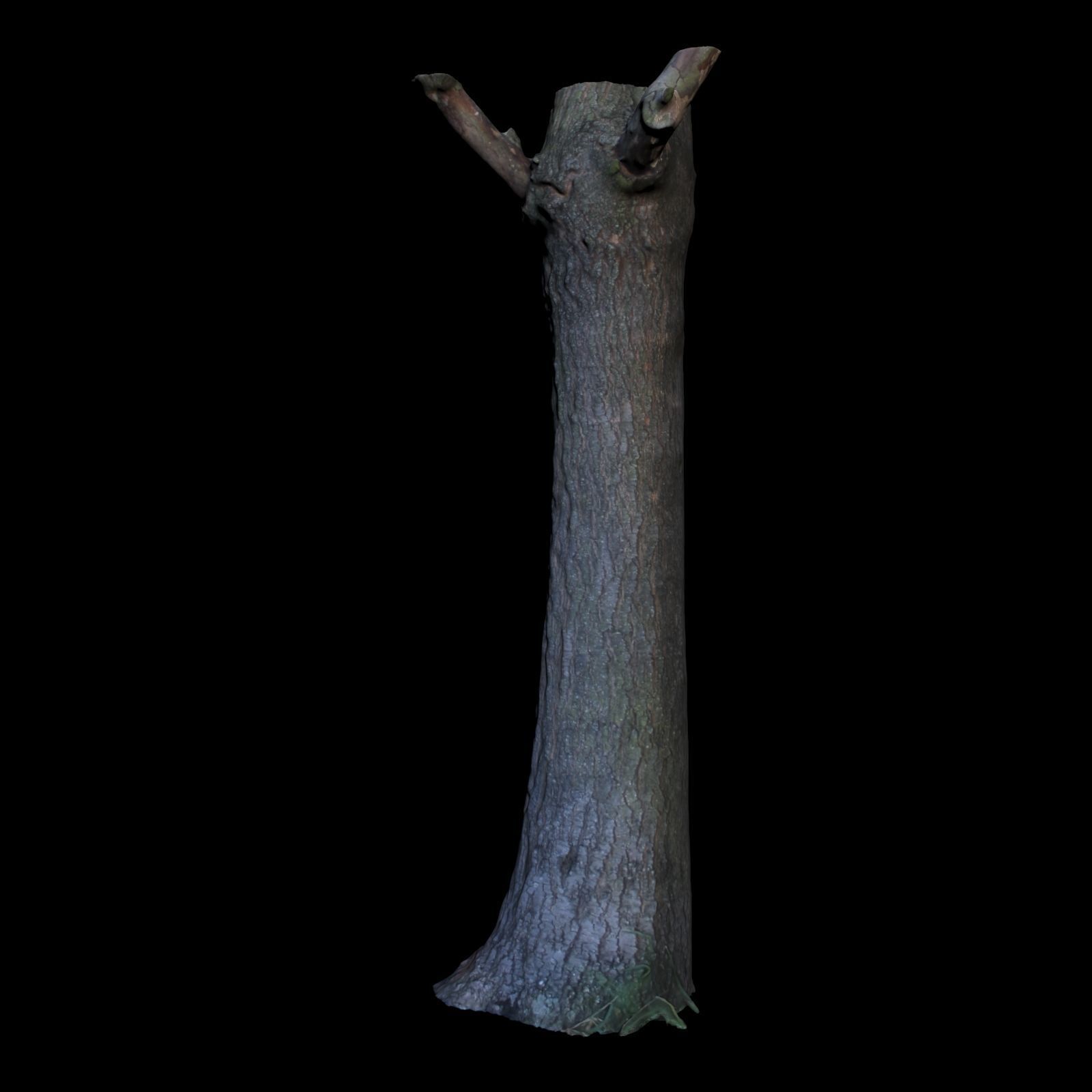 Tree G trunk 3D model_3