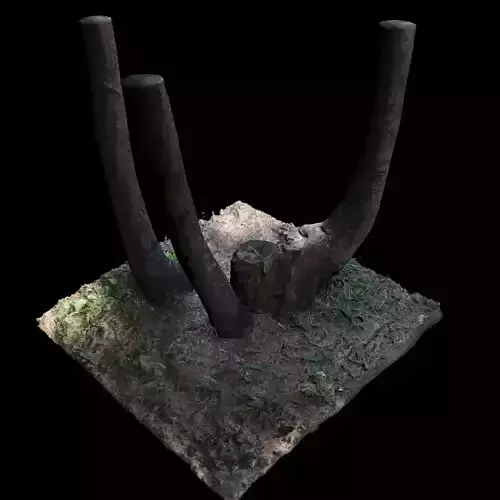 Tree H stump 3D model