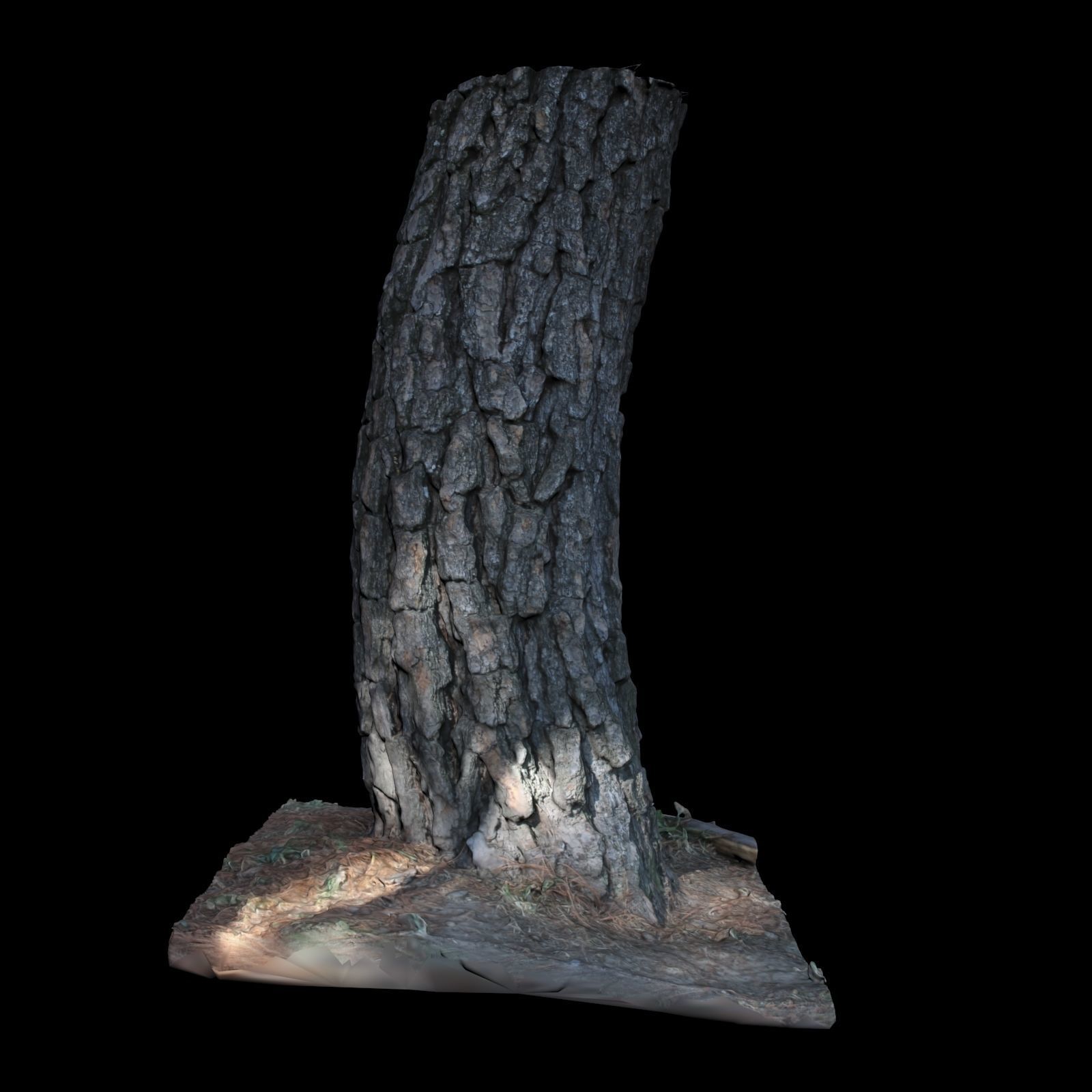 Tree I stump 3D model_6