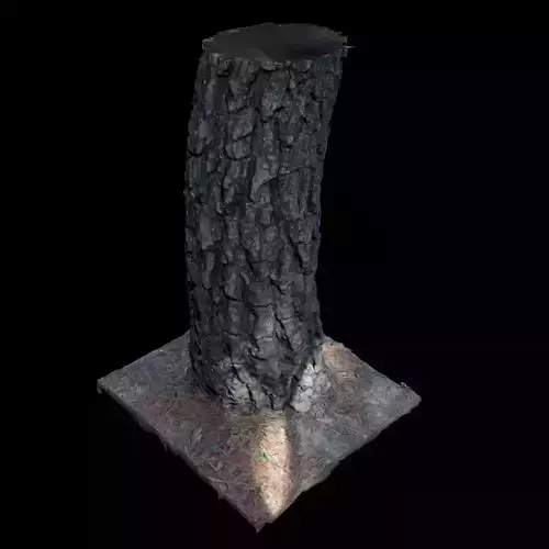 Tree I stump 3D model