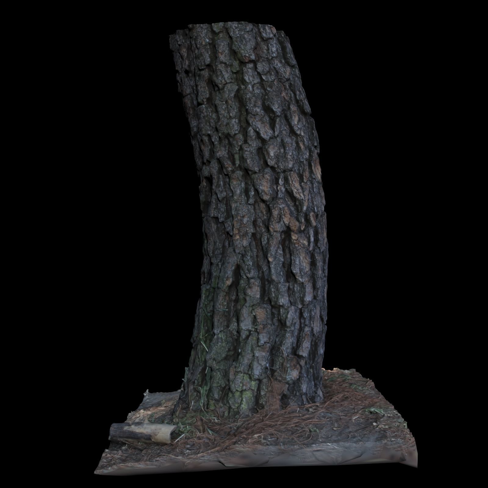 Tree I stump 3D model_4