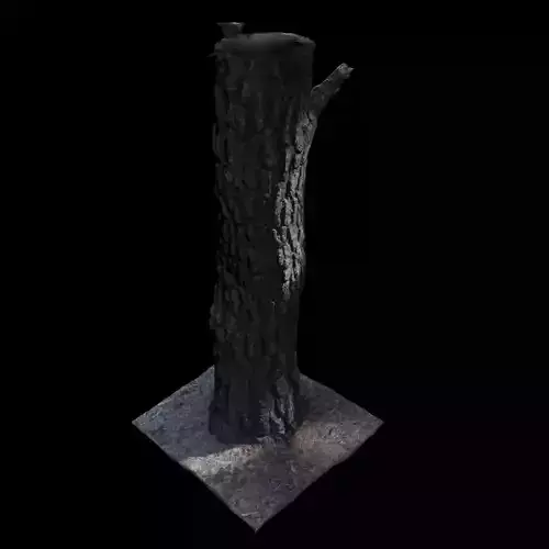 Tree J stump 3D model