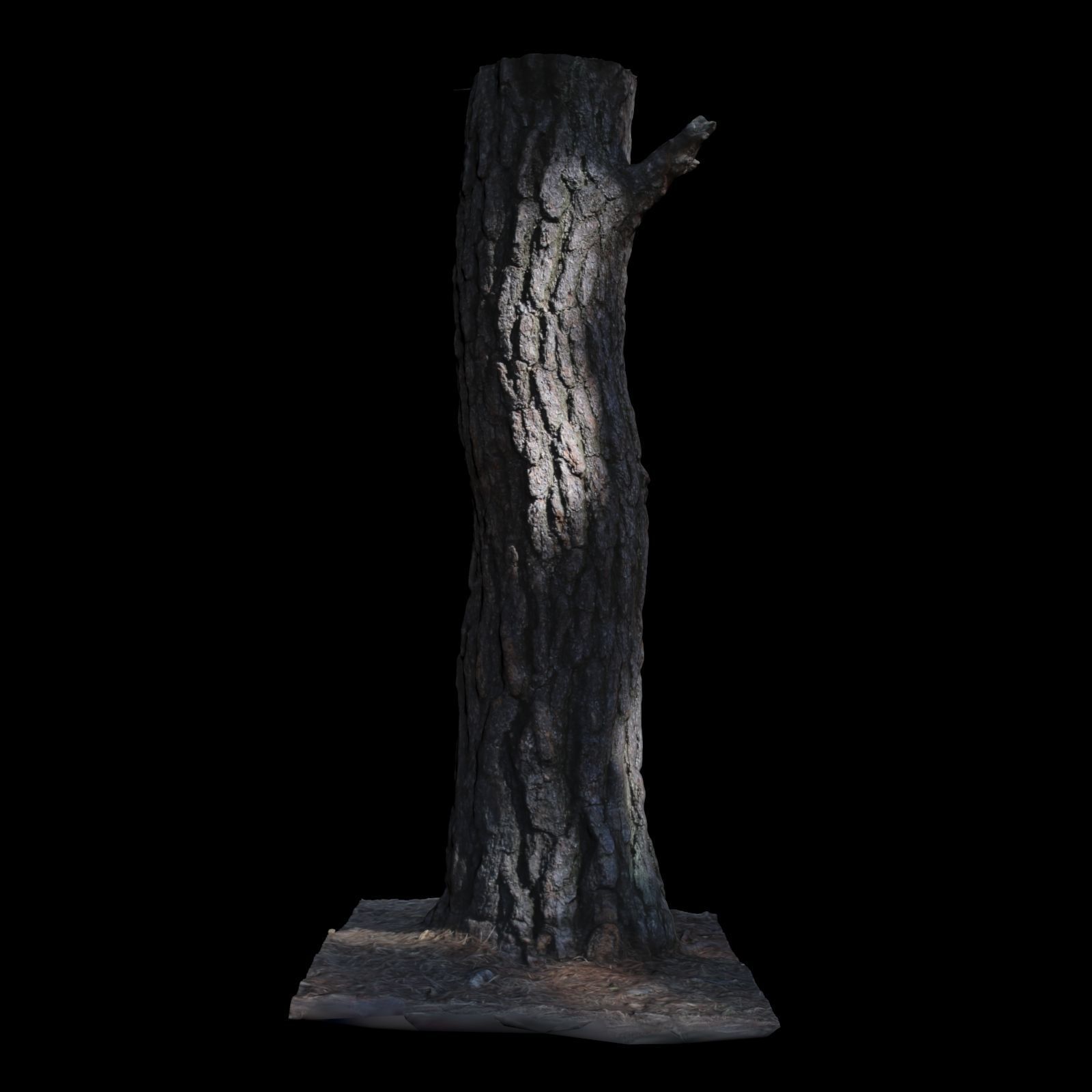 Tree J stump 3D model_3