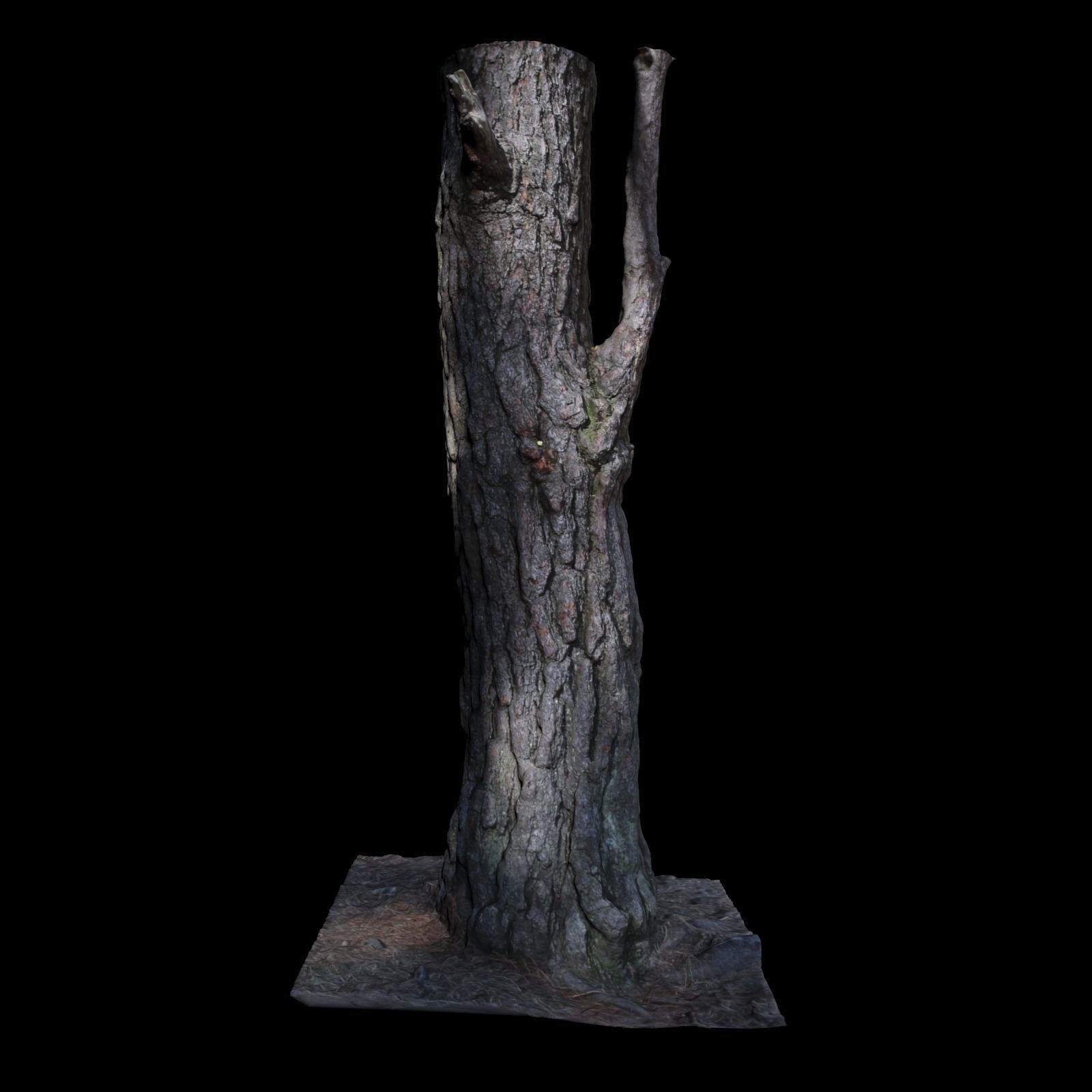 Tree J stump 3D model_4