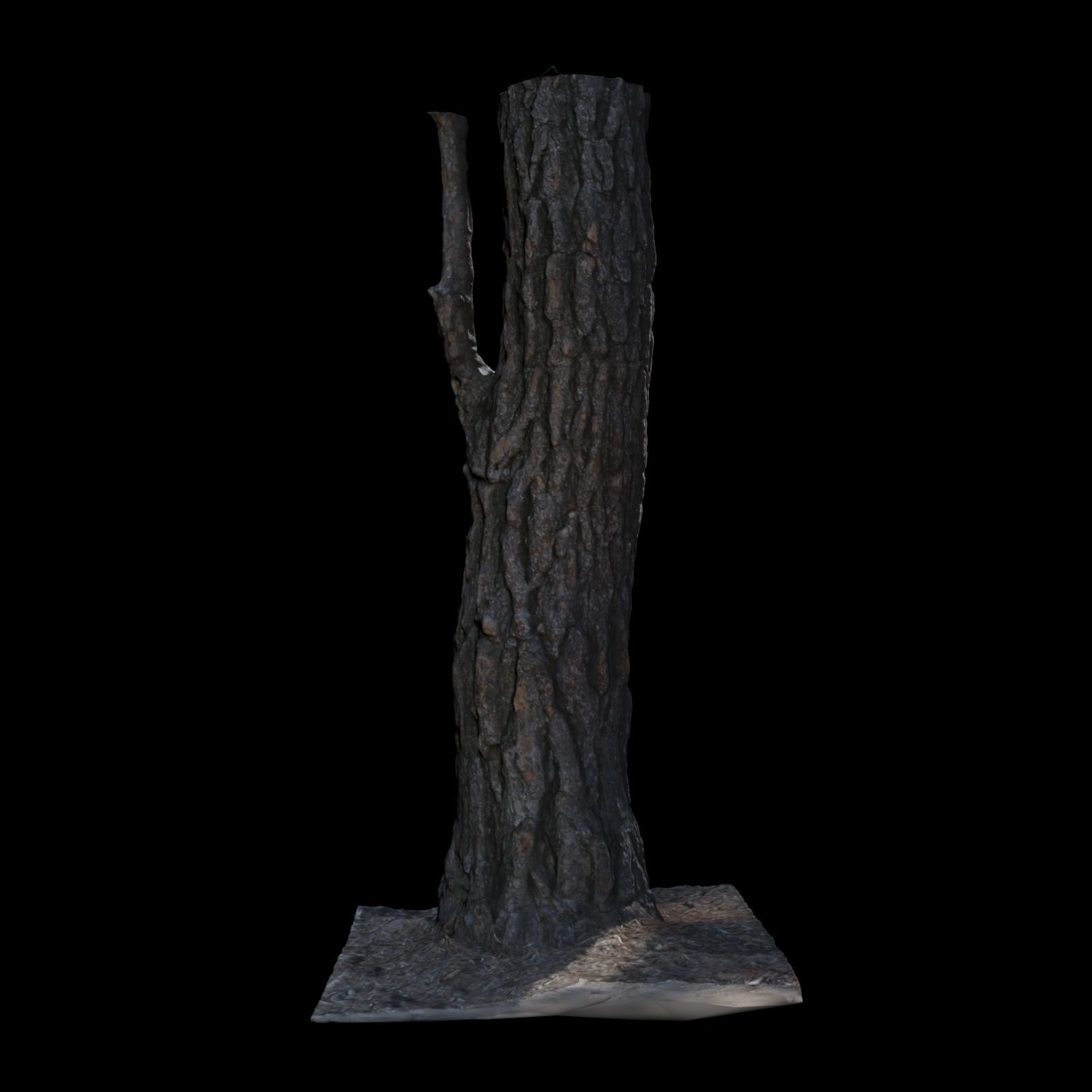 Tree J stump 3D model_6