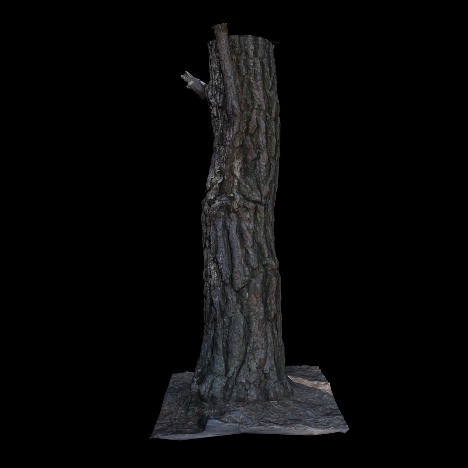 Tree J stump 3D model_5