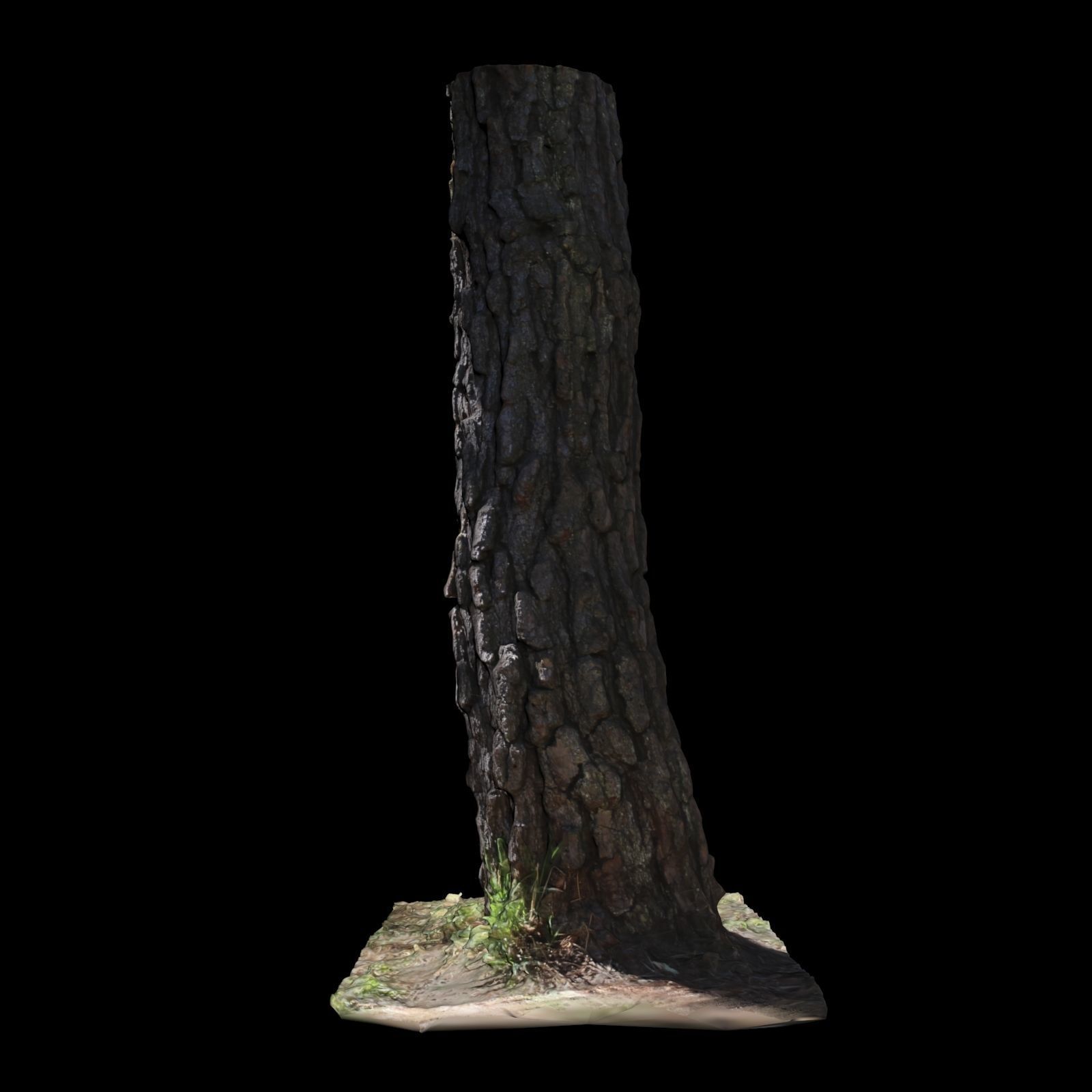 Tree K stump 3D model_5