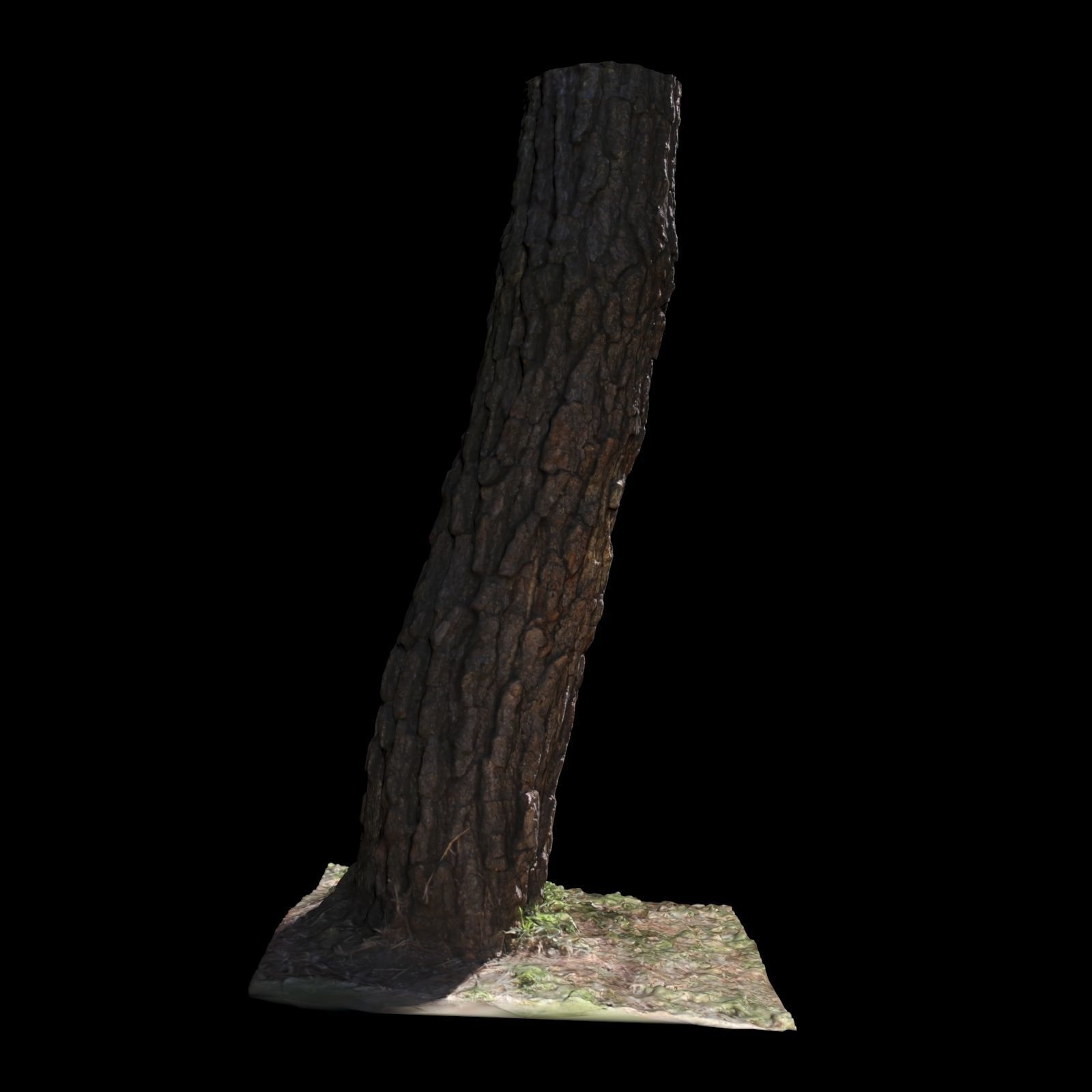 Tree K stump 3D model_6