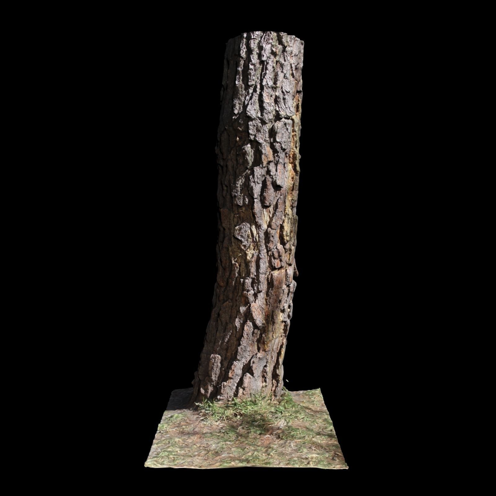 Tree K stump 3D model_3
