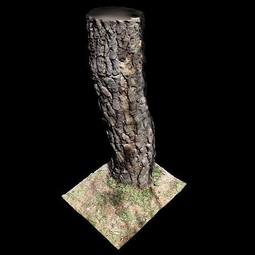 Tree K stump 3D model
