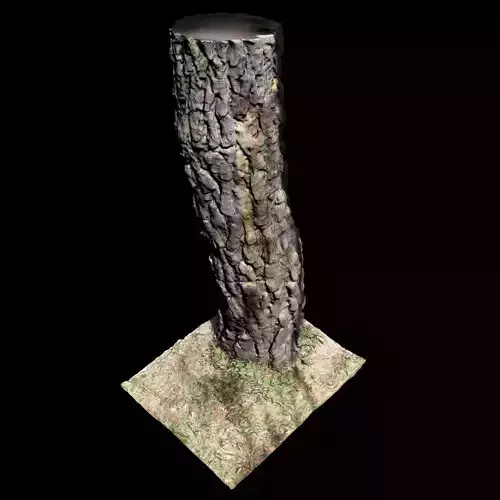 Tree K stump