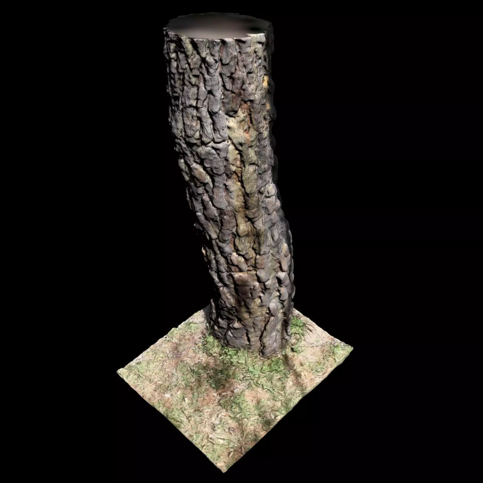 Tree K stump 3D model_0