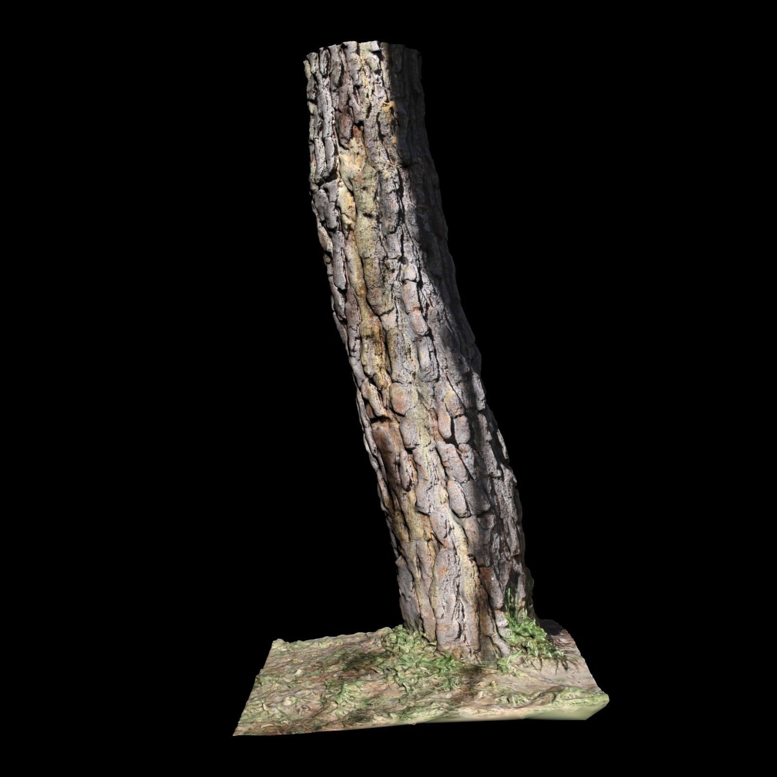 Tree K stump 3D model_4