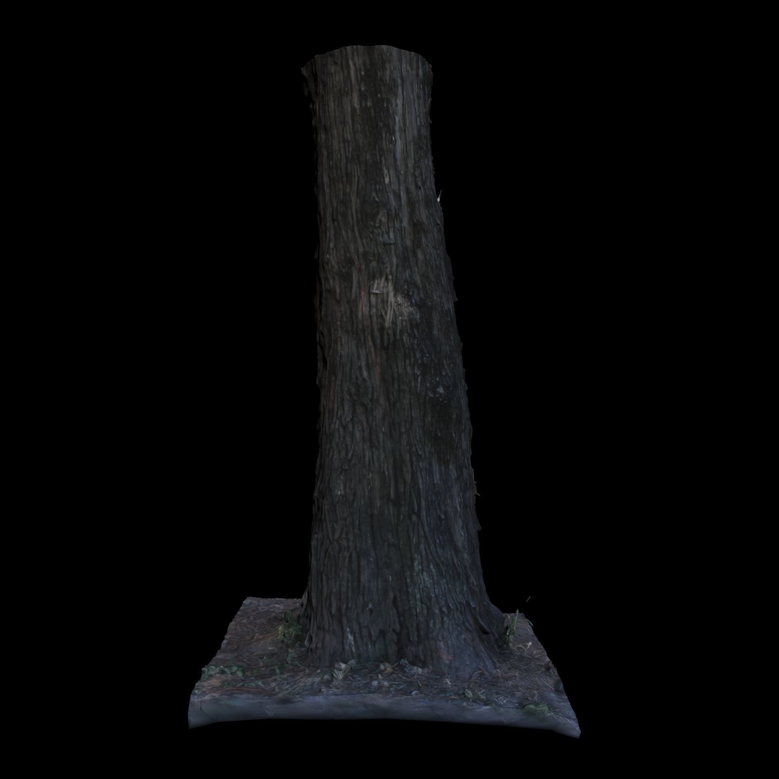Tree L stump 3D model_6
