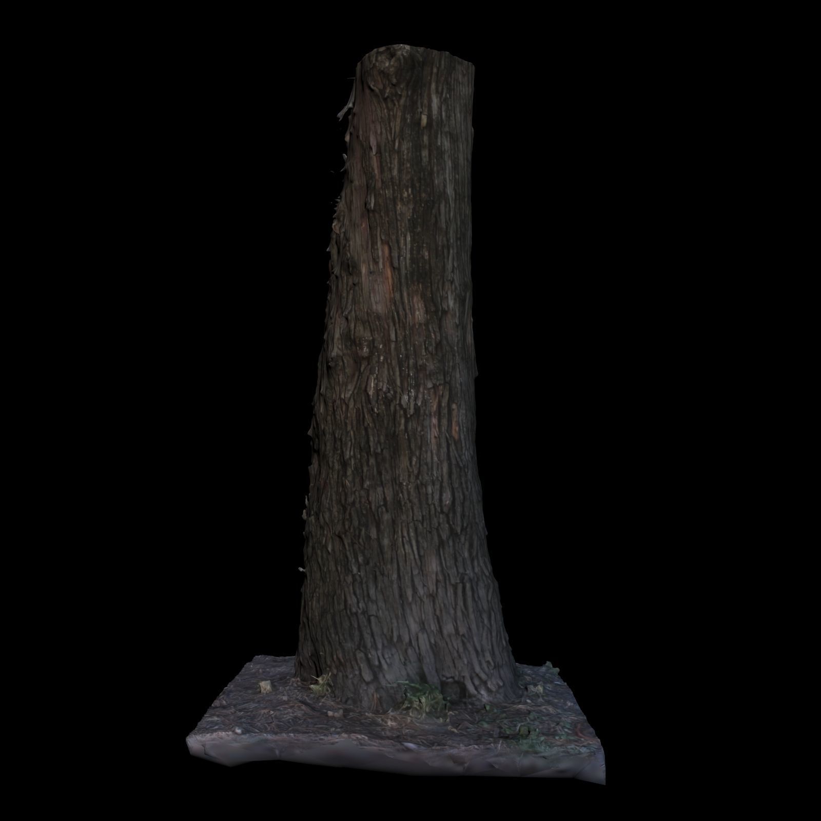 Tree L stump 3D model_5