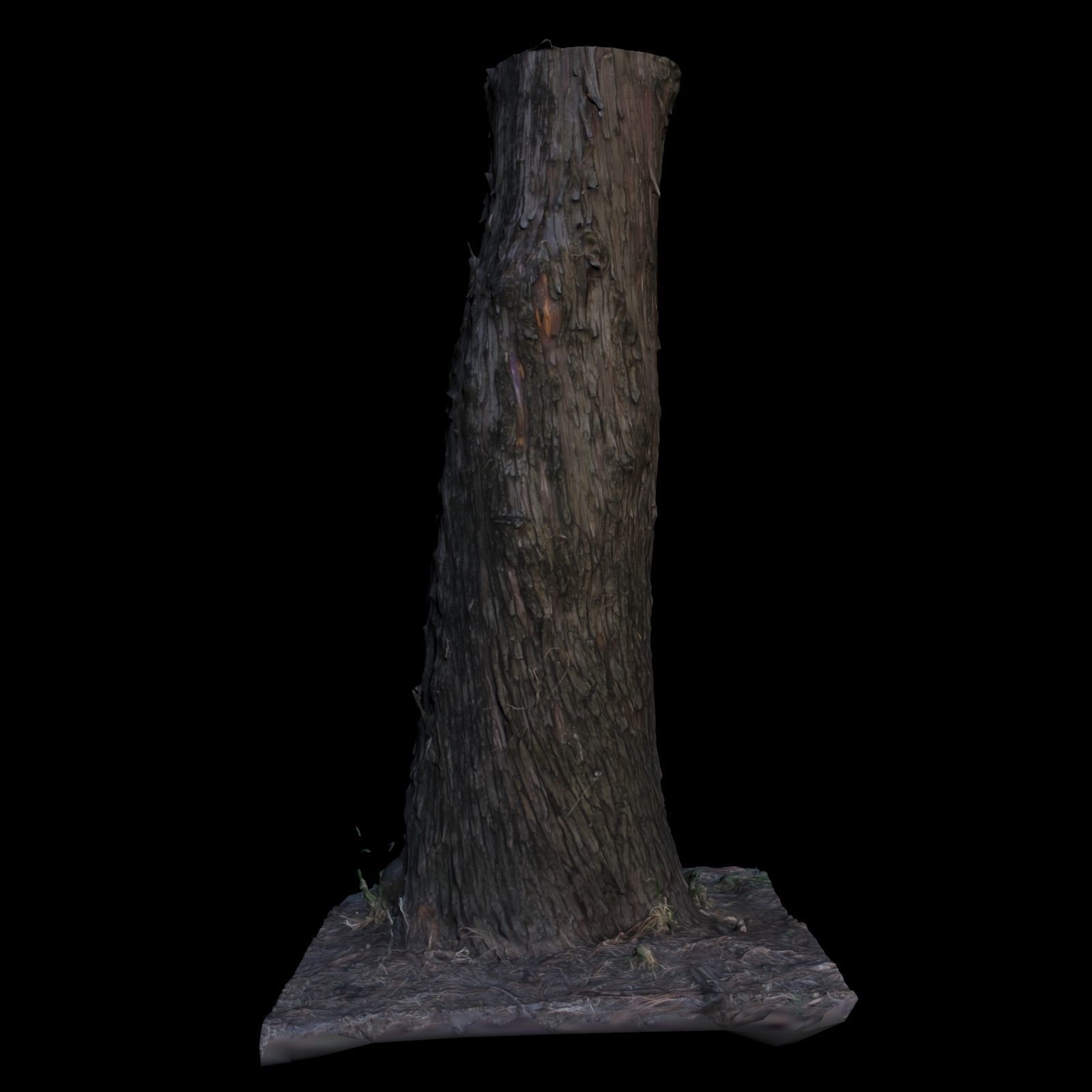 Tree L stump 3D model_4