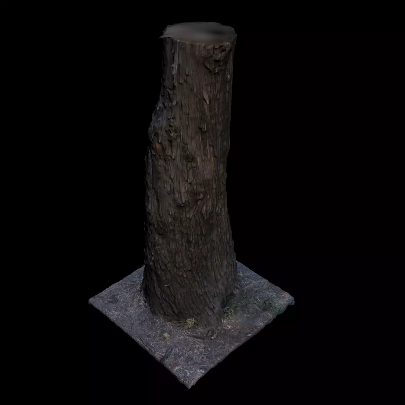 Tree L stump 3D model_0