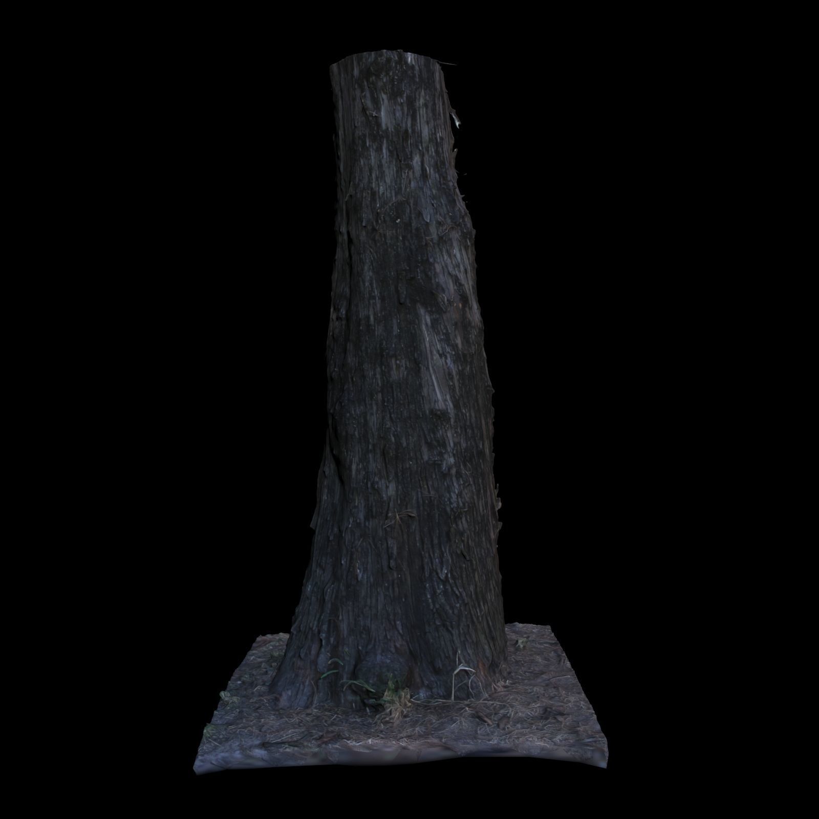 Tree L stump 3D model_3