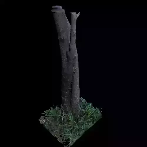 Tree M twisted 3D model