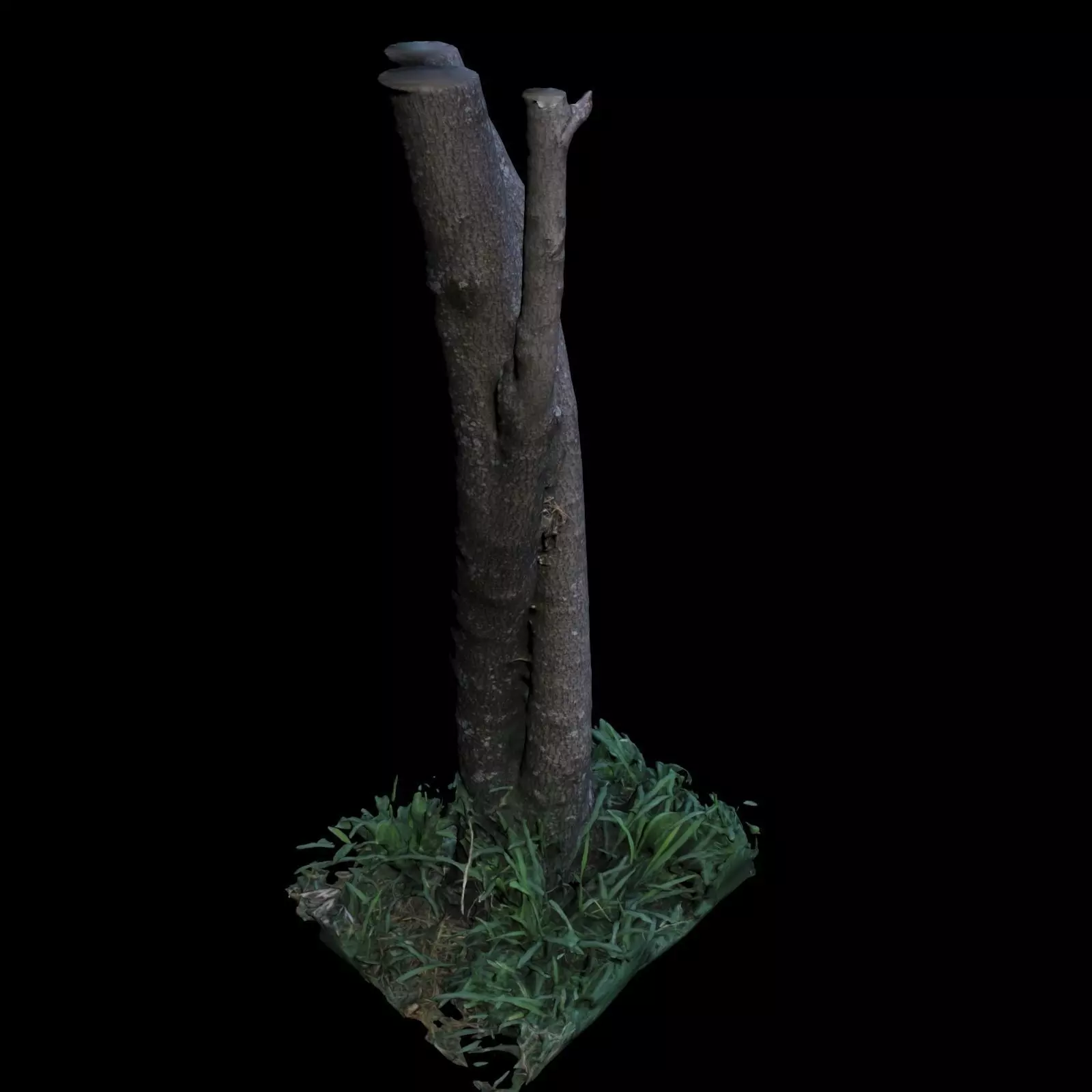Tree M twisted 3D model_0