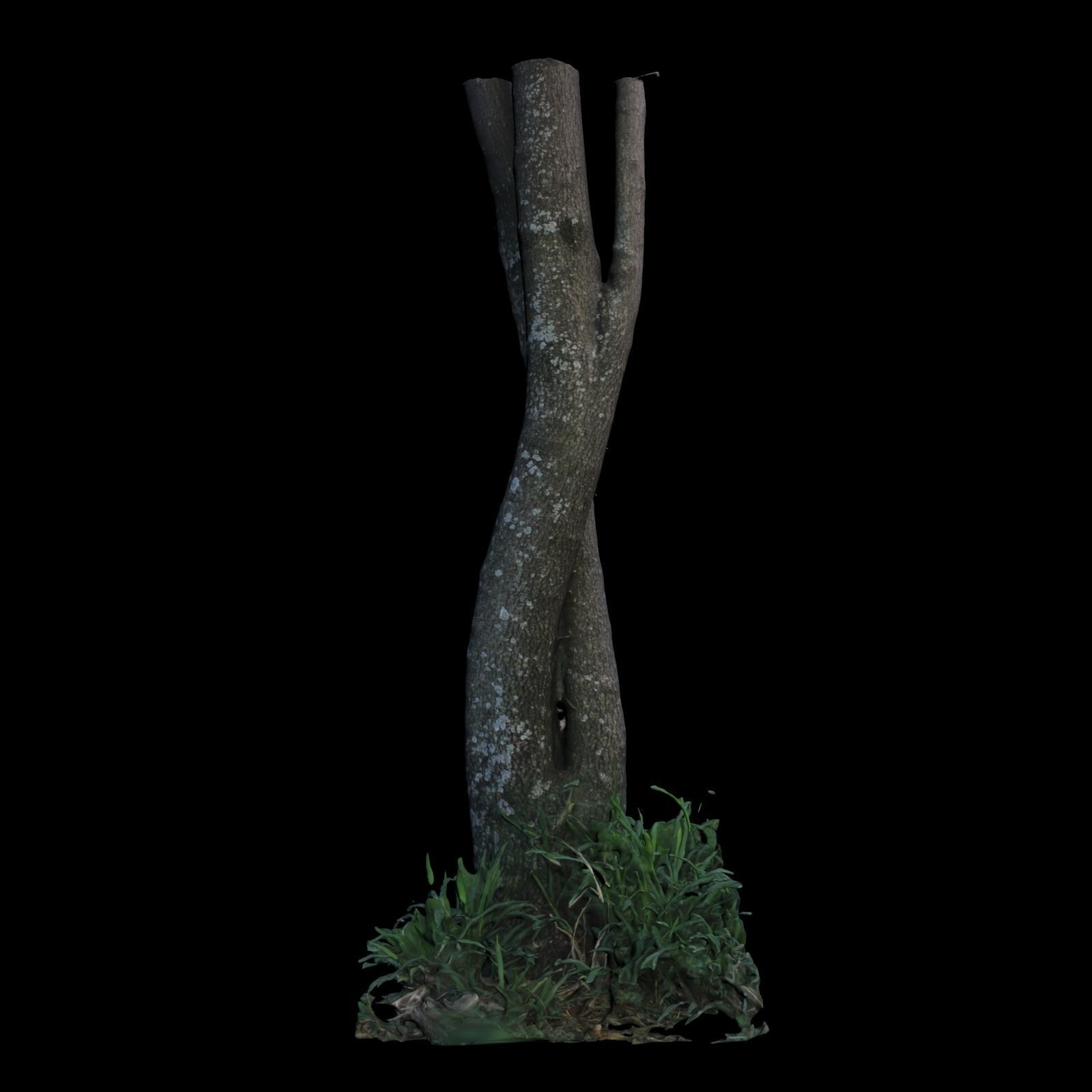 Tree M twisted 3D model_5