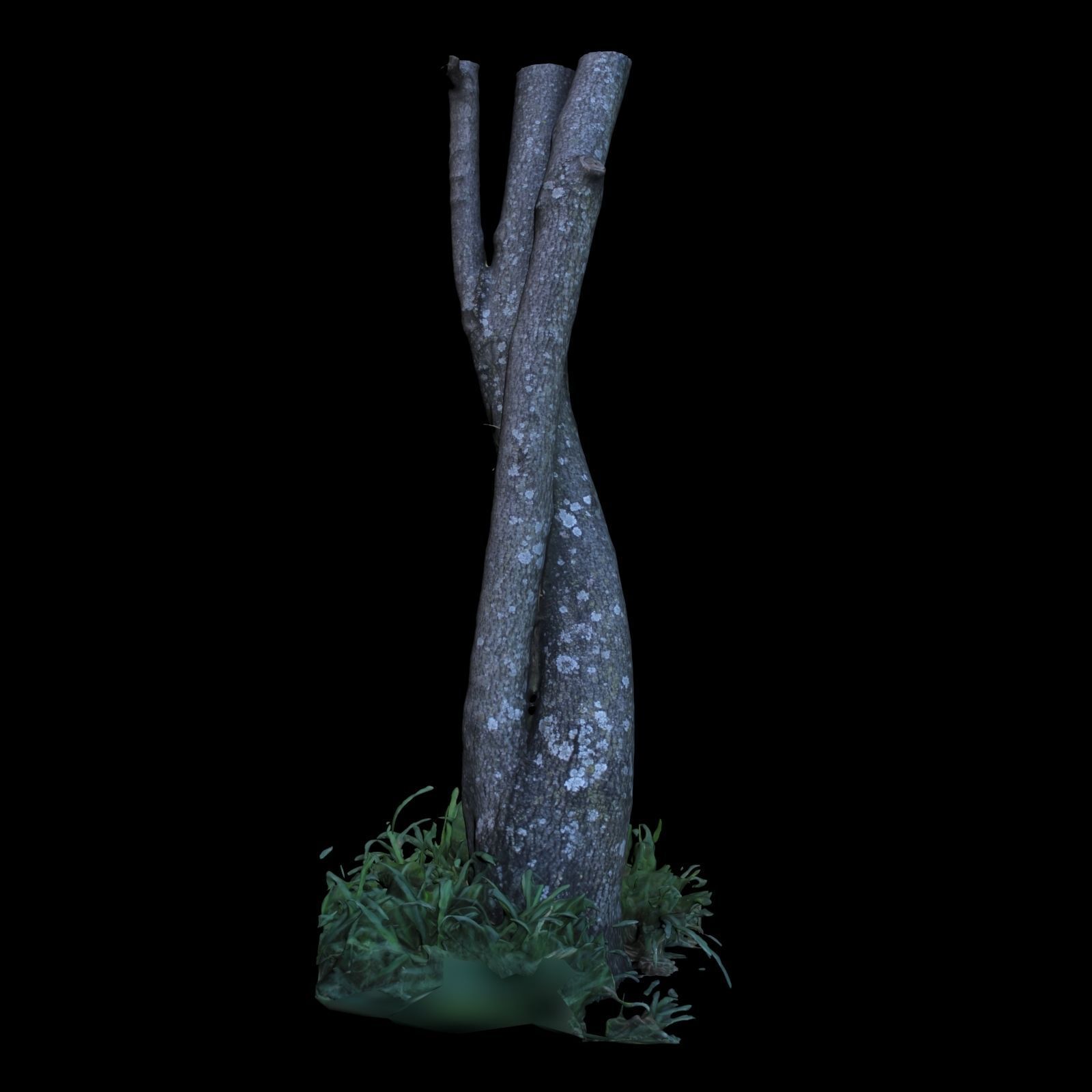Tree M twisted 3D model_3