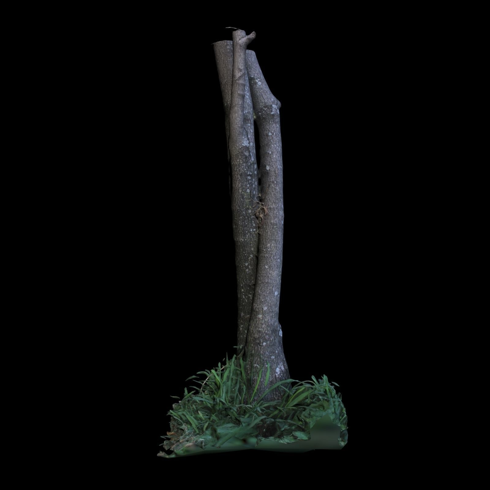 Tree M twisted 3D model_6