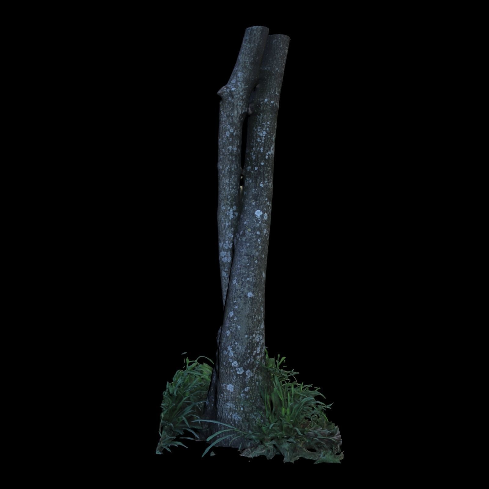 Tree M twisted 3D model_4