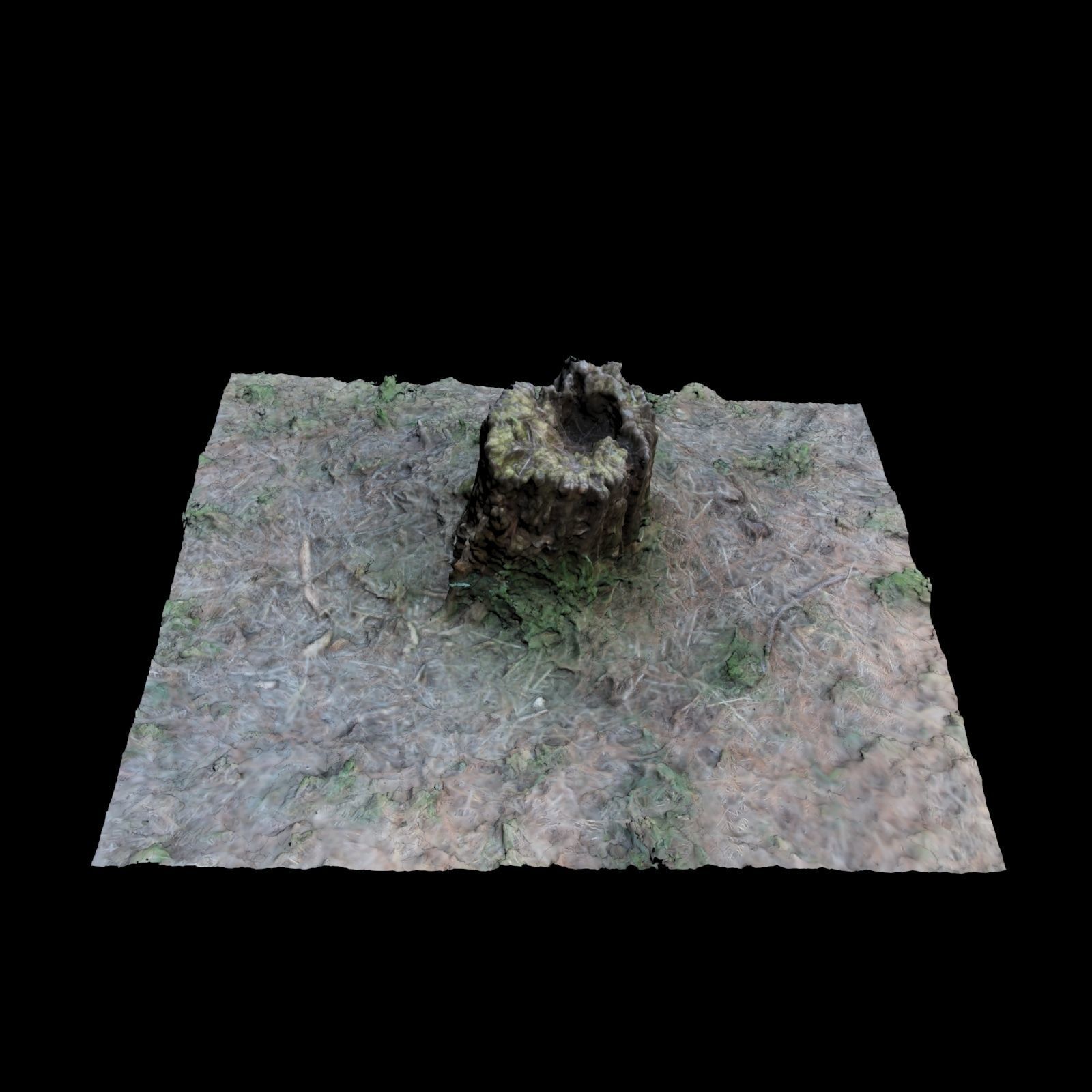 Trunk A tree stump 3D model_3