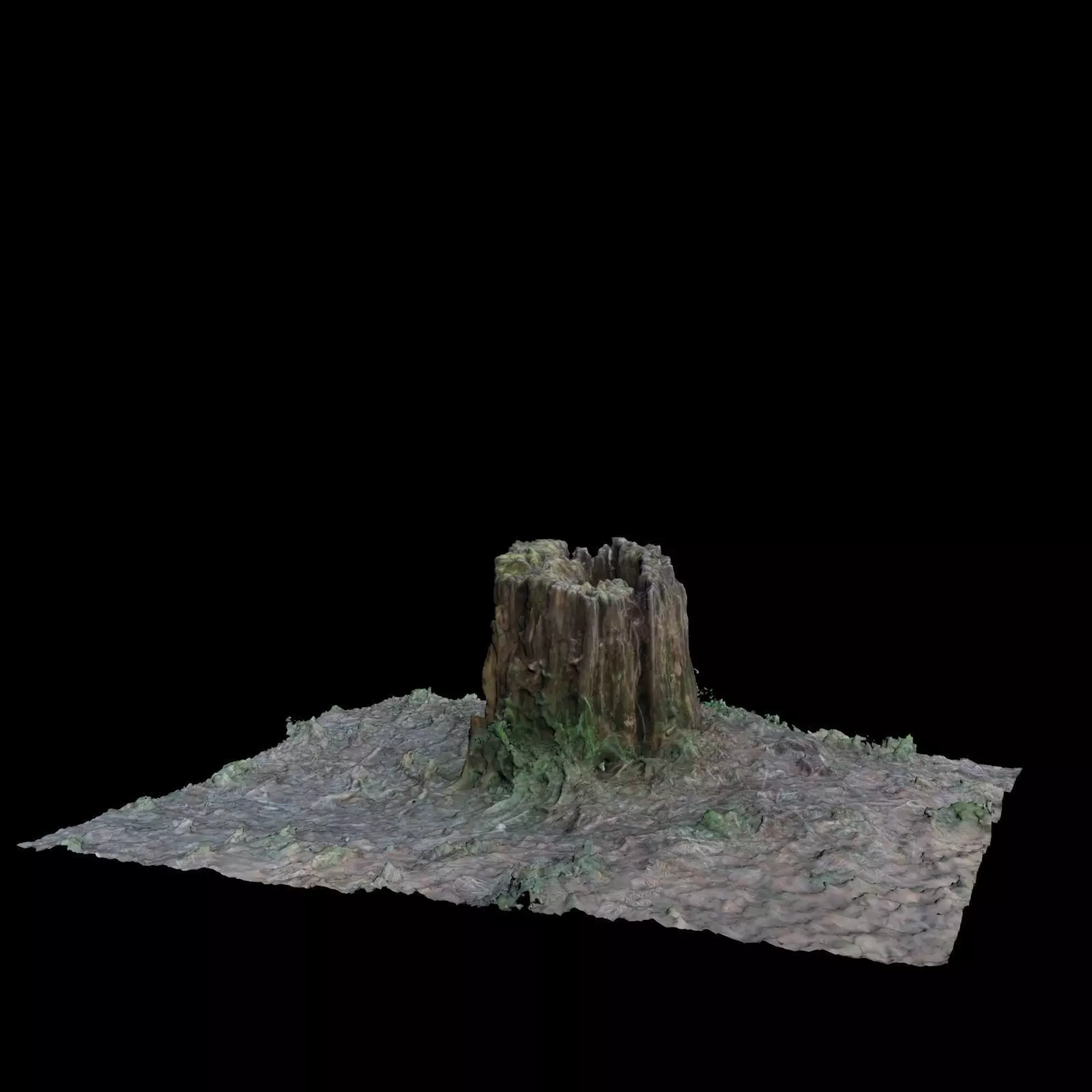 Trunk A tree stump 3D model_0