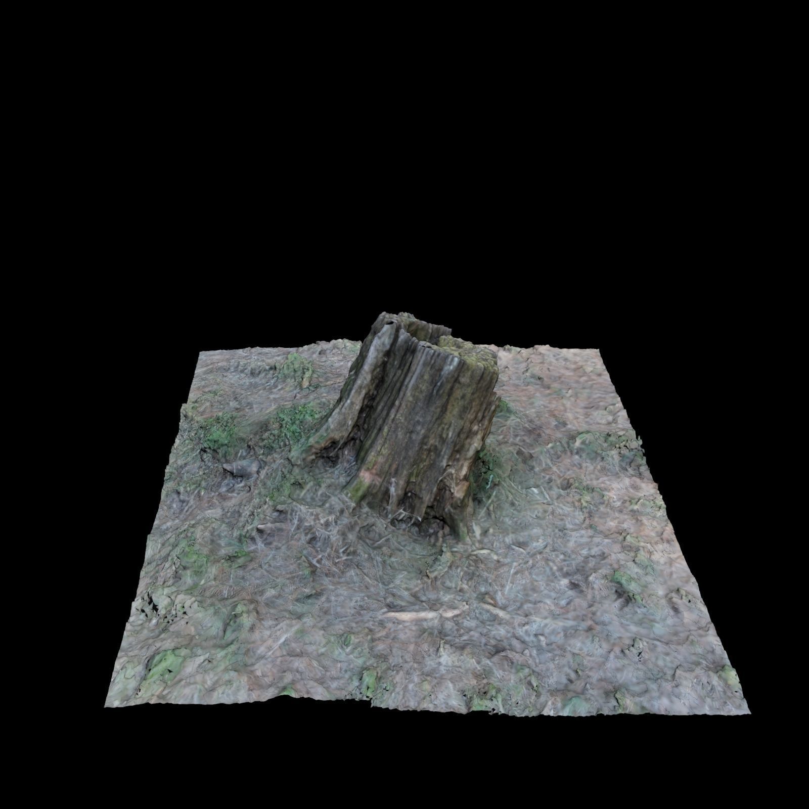 Trunk A tree stump 3D model_2