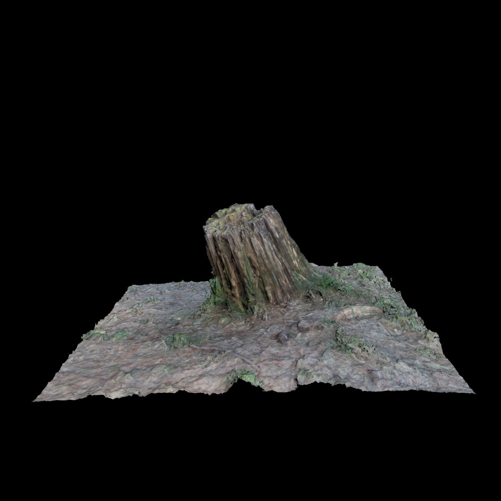 Trunk A tree stump 3D model_1