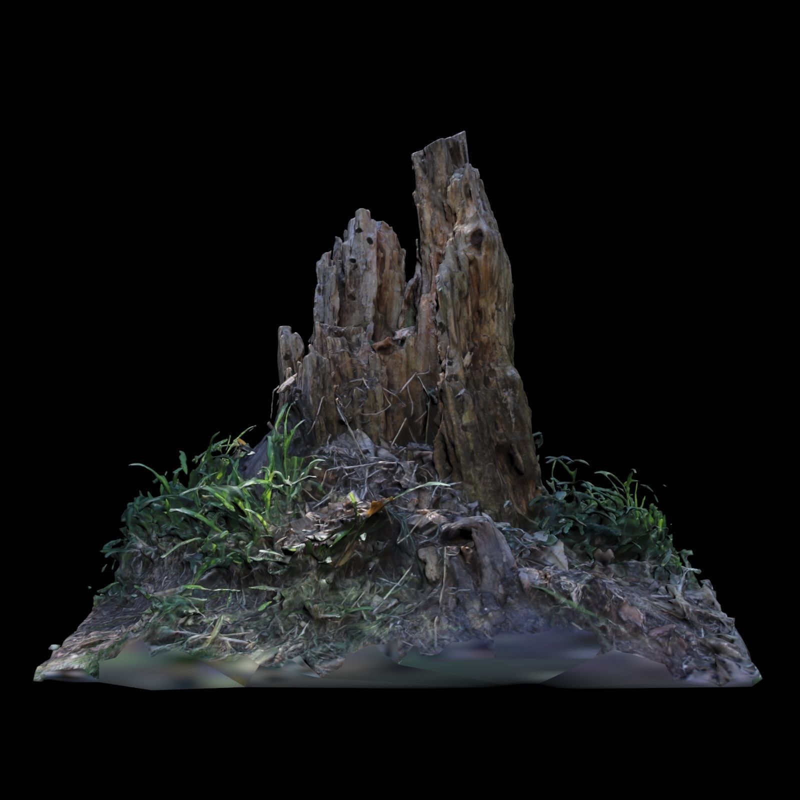 Trunk tree stump in grass 3D model_3