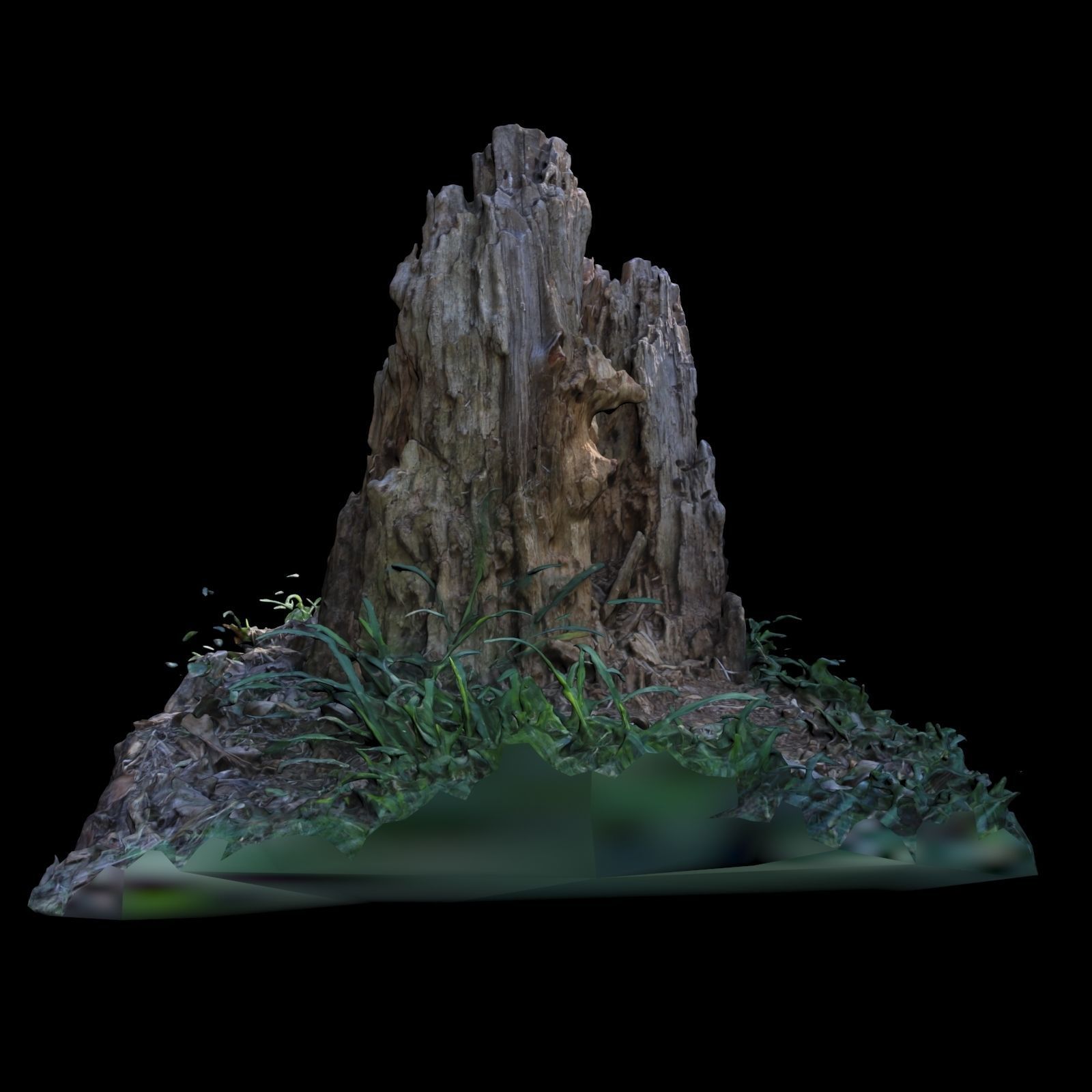 Trunk tree stump in grass 3D model_4
