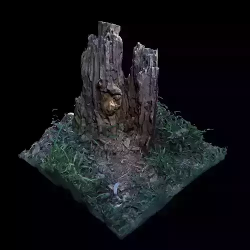 Trunk tree stump in grass 3D model
