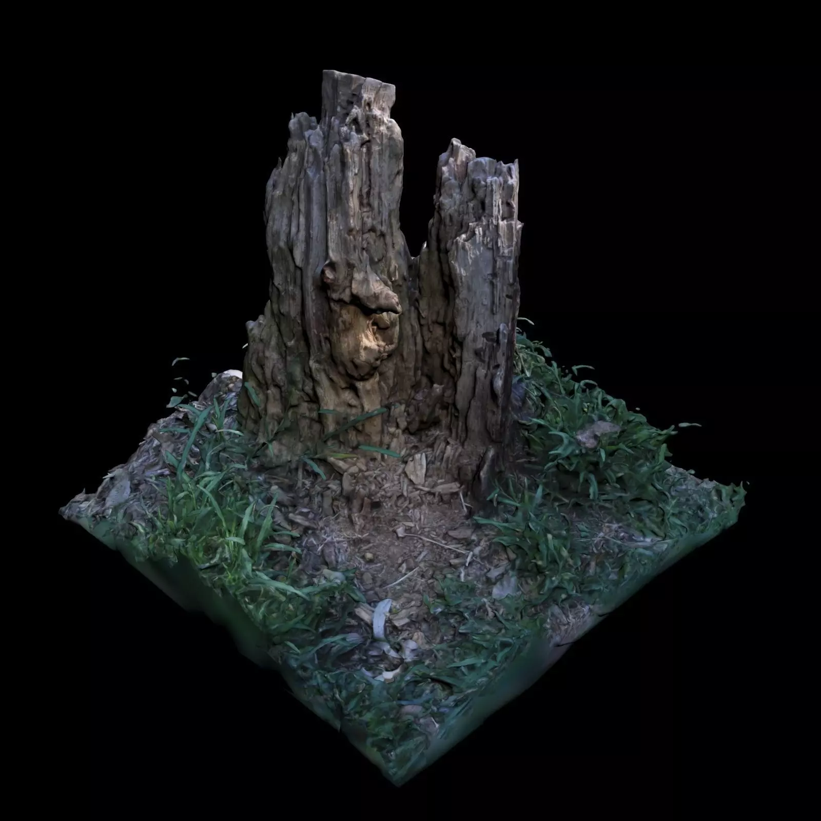 Trunk tree stump in grass 3D model_0