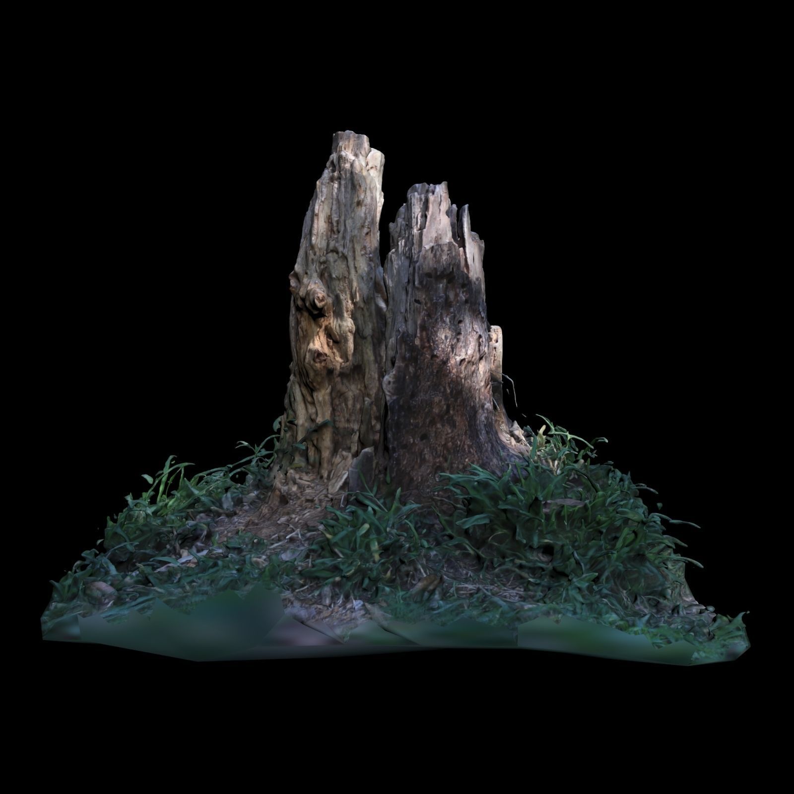 Trunk tree stump in grass 3D model_5