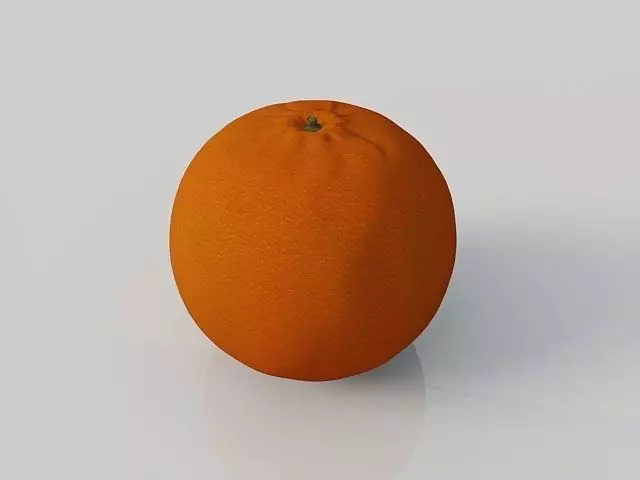Orange 3D model_0