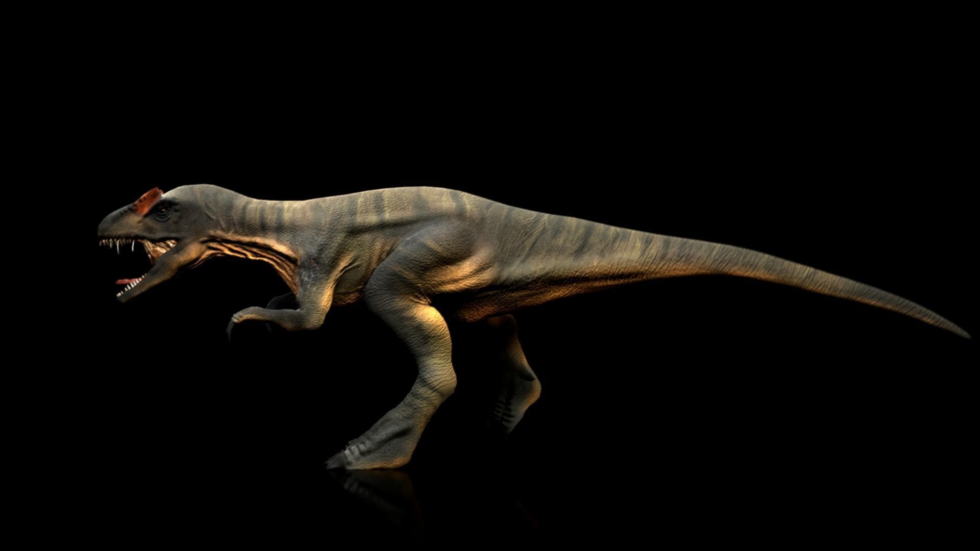 Allosaurus Rigged And Animated Low-poly 3D model_12