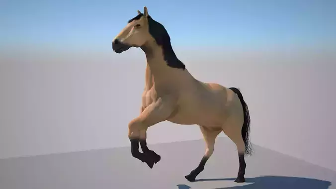 3D Horse Model