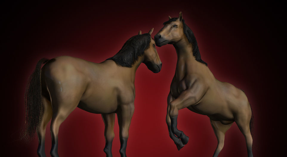 3D Horse Model Low-poly 3D model_5