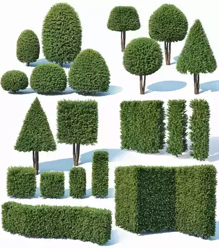 Taxus Baccata topiary Mega Collection 32 models 3D model