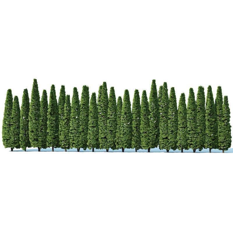 Thuya occidentalis Nr4 Smaragd privacy fence V2 3D model_4