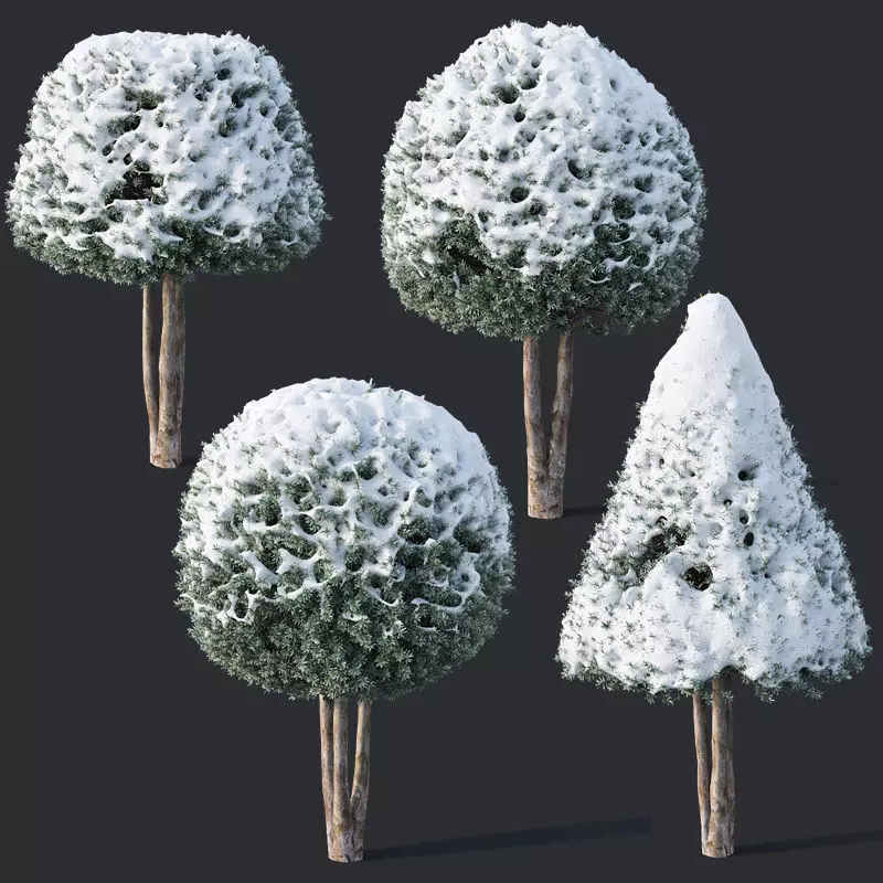 Taxus Baccata Nr12 topiary winter set 2 3D model_0