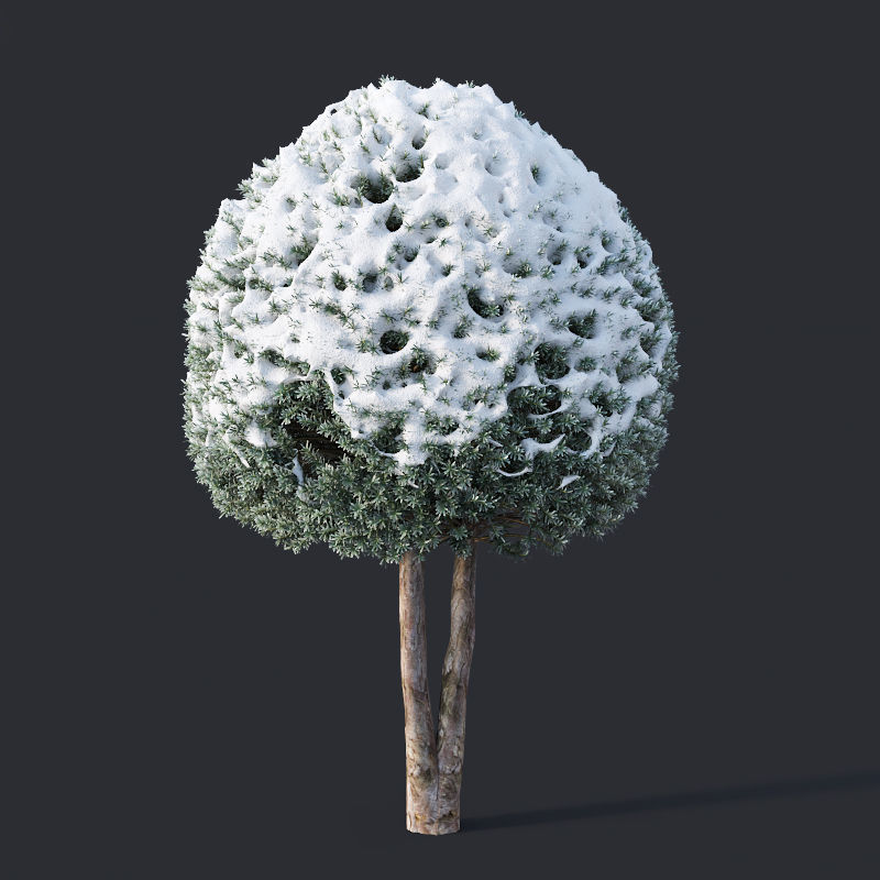 Taxus Baccata Nr12 topiary winter set 2 3D model_3