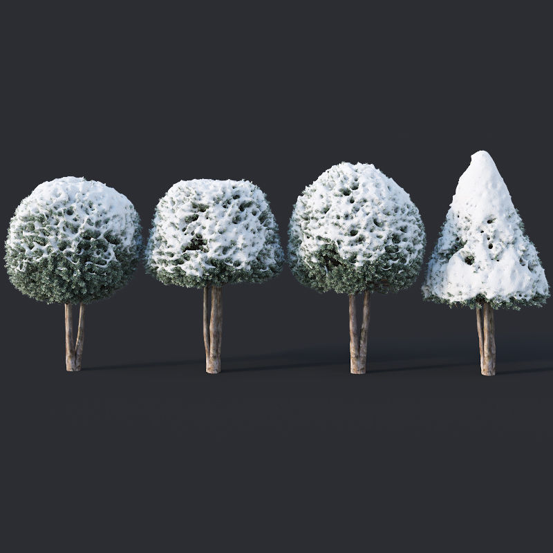 Taxus Baccata Nr12 topiary winter set 2 3D model_2
