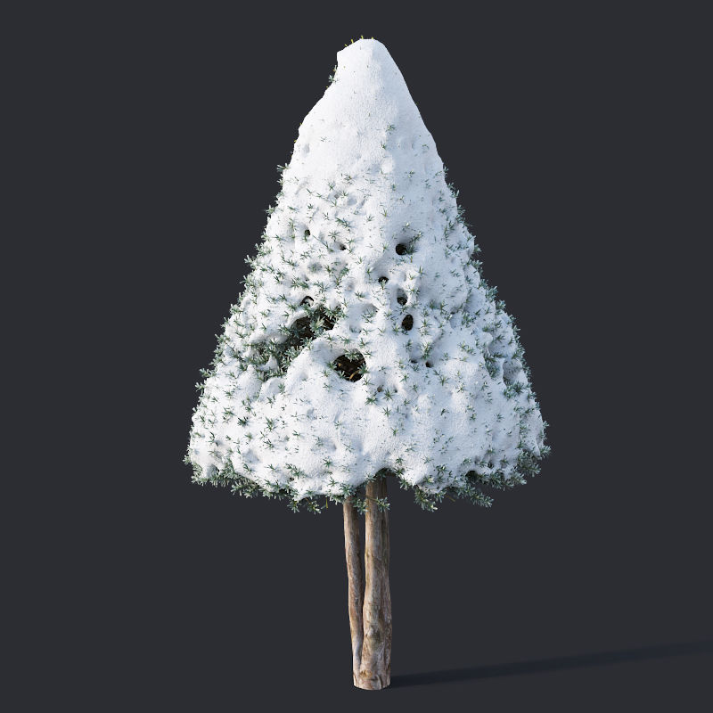 Taxus Baccata Nr12 topiary winter set 2 3D model_5