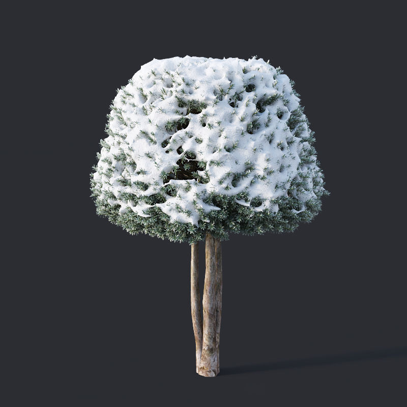 Taxus Baccata Nr12 topiary winter set 2 3D model_1