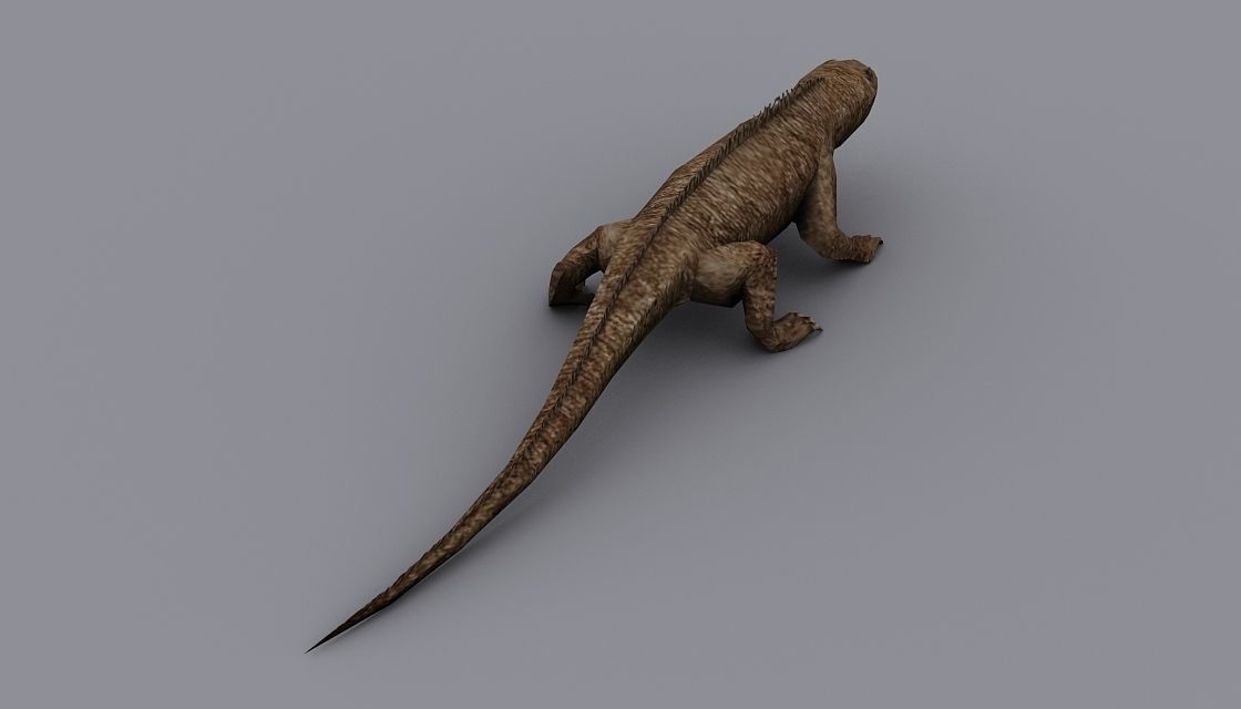 animated reptile lizard Low-poly 3D model_4